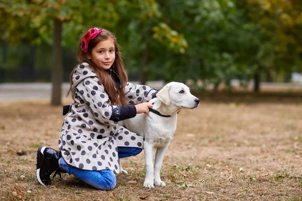 Красивая молодая девушка играет с собакой на улице. Концепция домашних животных . — стоковое фото