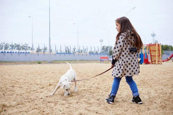 Hermosa joven jugando con el perro al aire libre. Concepto de mascota . — Foto de Stock