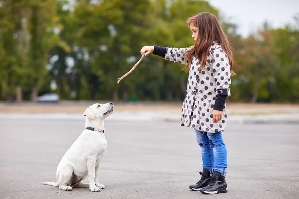 Hermosa joven jugando con el perro al aire libre. Concepto de mascota . — Foto de Stock