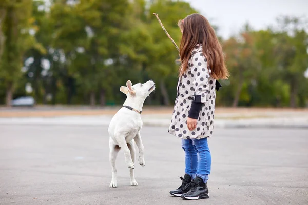 Hermosa joven jugando con el perro al aire libre. Concepto de mascota . — Foto de Stock