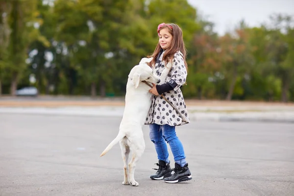 Hermosa señorita jugando con el perro al aire libre. Concepto de mascota . — Foto de Stock