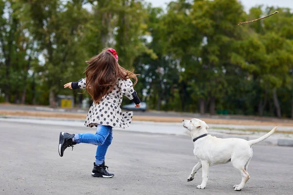 Un perro guapo jugando con el dueño al aire libre. Concepto animal . — Foto de Stock