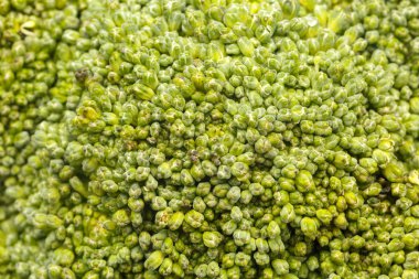 Yeşil, brokoli, yakın çekim. Makro vurdu. Gıda kavramı.