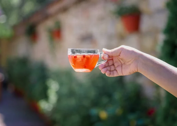 一个女性的手拿着一个小透明的红色果味饮料在自然模糊的背景 一杯来自有机葡萄干和草莓的茶 用于健康早餐 夏季食谱 — 图库照片