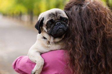 Güzel esmer kız parkta köpek ile yürüme. Hayvan kavramı.