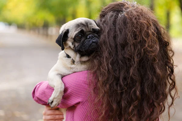 Linda chica morena paseando con el perro en el parque. Concepto animal . — Foto de Stock