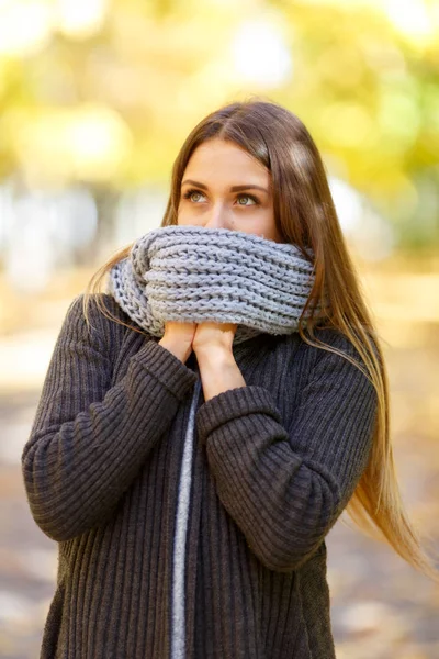 Bella ragazza in un cappotto nero su uno sfondo di parco autunnale . — Foto Stock