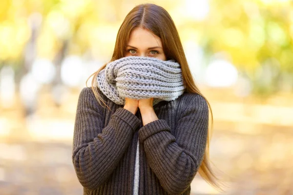 Bella ragazza in un cappotto nero su uno sfondo di parco autunnale . — Foto Stock