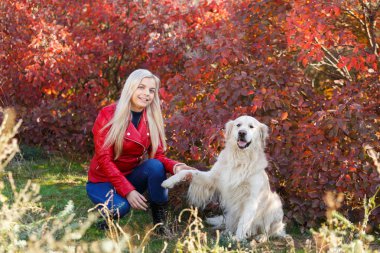 Güzel sarışın kız ile köpek ormanda yürüyüş. Hayvan kavramı.