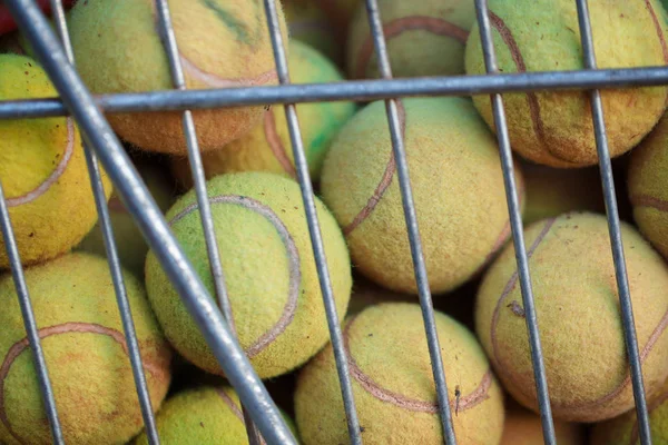 Pelotas de tenis verdes en caja especial. Concepto deportivo . —  Fotos de Stock