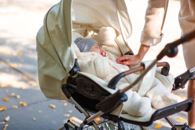 Bebek arabasındaki bebek genç bir anne yürür
