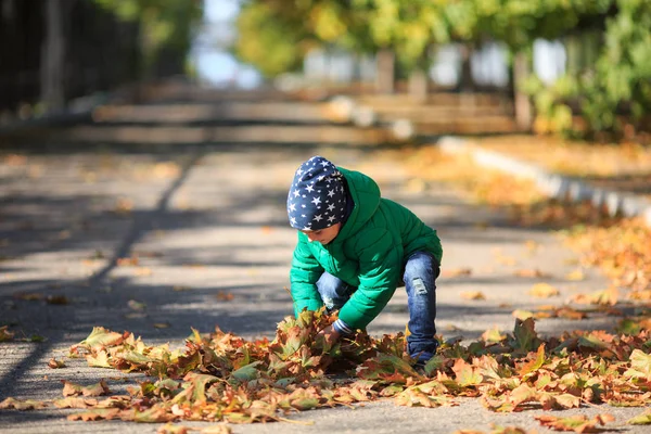 Sonbahar sokaklarda bir çocuk oynar — Stok fotoğraf