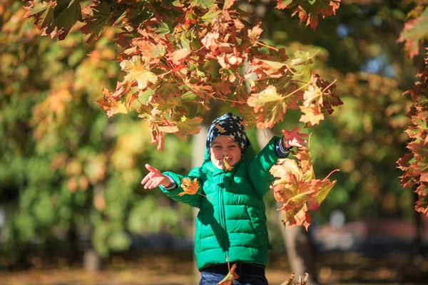 Sonbahar sokaklarda bir çocuk oynar