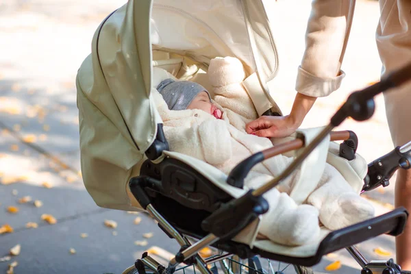 Bebek arabasındaki bebek genç bir anne yürür
