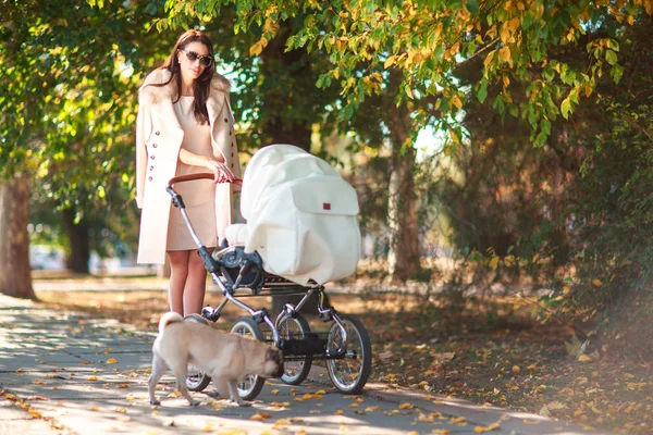 A young mother walks with a baby in a stroller — Stock Photo, Image