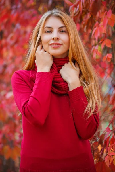 Joven hermosa mujer ith pelo rojo en el parque de otoño . — Foto de Stock