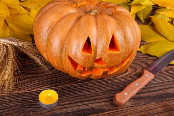 Een grote herfst halloween pompoen met bladeren op een houten achtergrond. Halloween concept — Stockfoto