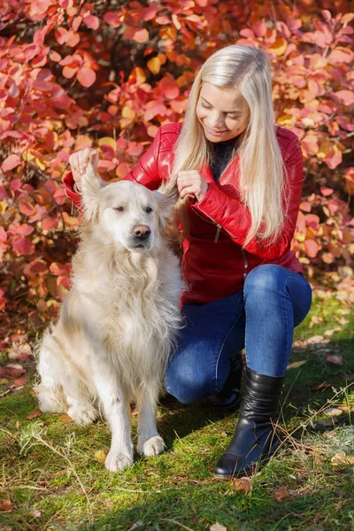 Chica con un perro en el parque sobre un fondo rojo de otoño — Foto de Stock