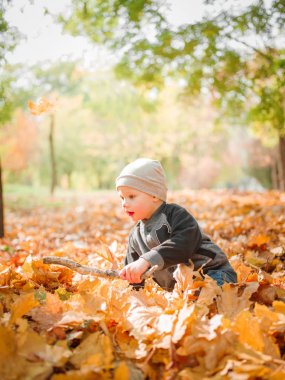 Bir çocuk bir broşür parkta oynuyor