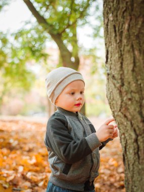 Parkta küçük çocuk yakın Güz