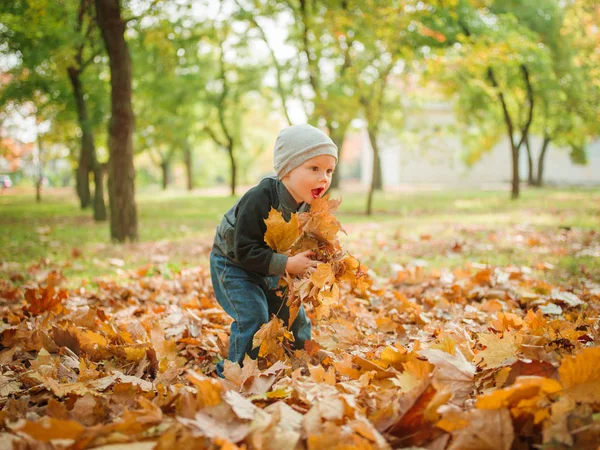 Bir çocuk bir broşür parkta oynuyor — Stok fotoğraf