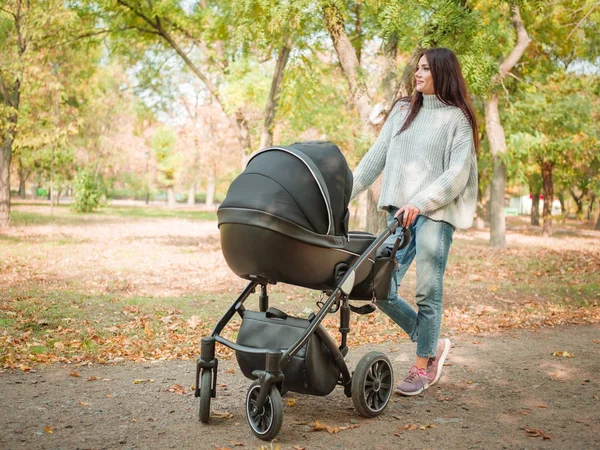 Uma menina está andando com um carrinho no parque — Fotografia de Stock