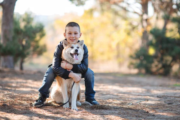 Mutlu küçük çocuk parkta köpek ile yürüme. Hayvan kavramı.