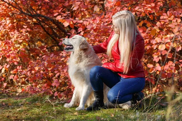 Güzel sarışın kız ile köpek ormanda yürüyüş. Hayvan kavramı.