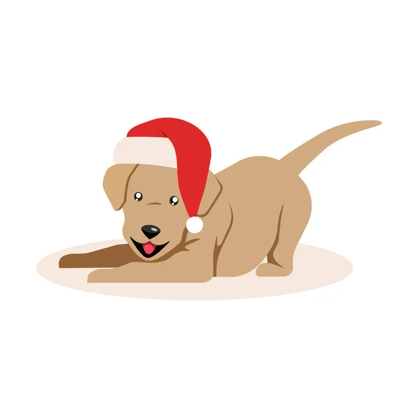Симпатичная маленькая собачка в новогодней шляпе. Смешная собака, изолированная на белом фоне. Векторная иллюстрация . — стоковый вектор