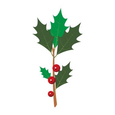 Beyaz zemin üzerine kırmızı kartopu çilek dalı. Vektör çizim.