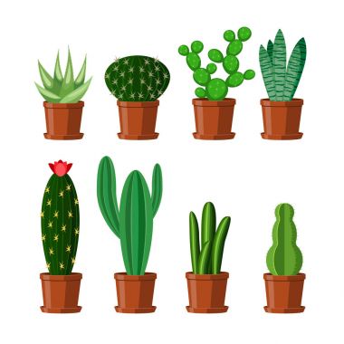 Kaktüs bitkileri dikenleri beyaz bir arka plan üzerinde izole kahverengi tencere ile kümesi. Çiçekli houseplant. Vektör çizim