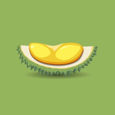 Egzotik meyve durian yeşil bir arka plan üzerinde. Taze, organik ve olgun durian meyve yarısı. Vektör çizim.