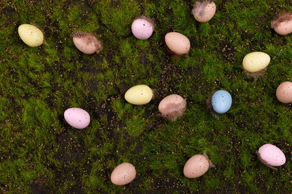 Velikonoční Pozadí Barevnými Křepelčí Vejce Peří Pohled Shora Přírodní Zelené — Stock fotografie