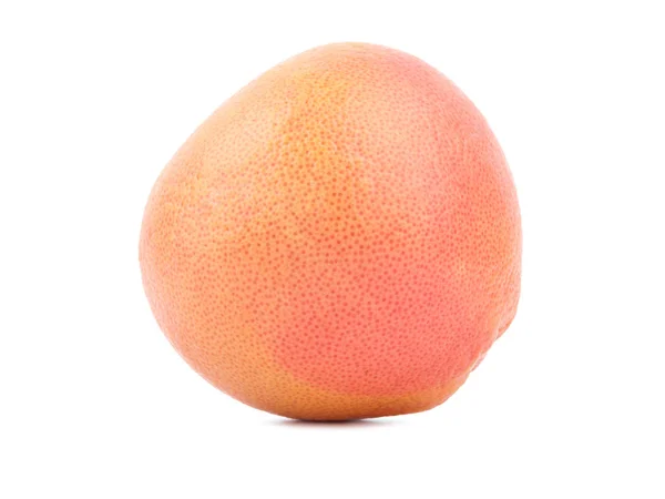 Eine frische ganze Grapefruit — Stockfoto