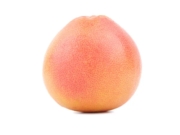 Čerstvé celé grapefruity — Stock fotografie
