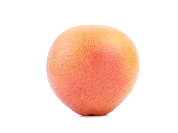 Eine frische ganze Grapefruit — Stockfoto