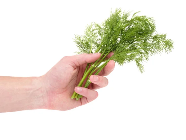 La mano di un uomo che tiene un mucchio — Foto Stock