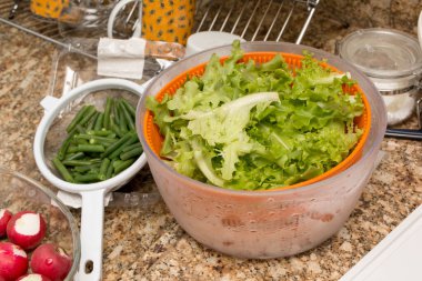 Ingredients for preparing a fresh salad in the kitchen clipart