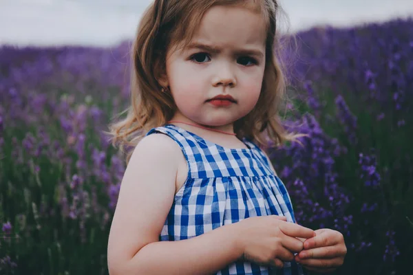 Bir lavanta alanda yürümeye başlayan çocuk