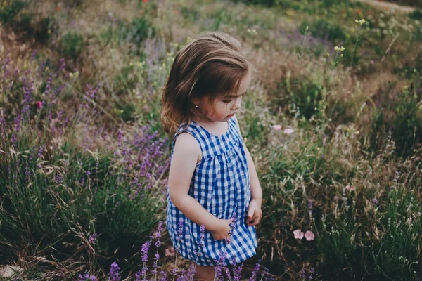 Kislány a mezőn.. — Stock Fotó