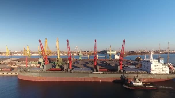 Morskoy Kanal Sankt Petersburg Hamnområde — Stockvideo