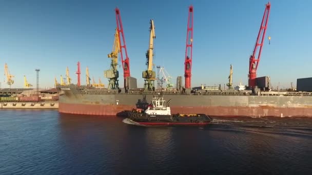 Kanał Morskoy Sankt Petersburg Obszar Portu Morskiego — Wideo stockowe