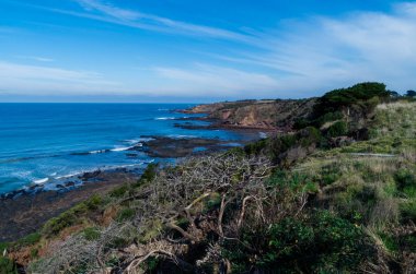 Avustralya Phillip Island Tarih Cunningham Koyu'ndaki Bass Boğazı sahil şeridi.