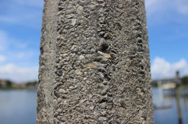 Coquina İnşaat
