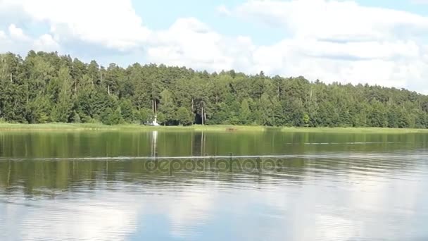 Красивое озеро Пейзаж с лесом, русский пейзаж — стоковое видео