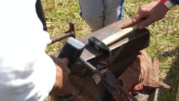 Herrero forjando metal — Vídeos de Stock