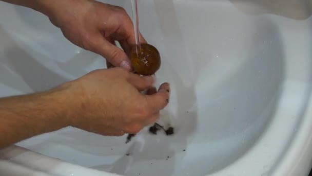 Man cleaning mushrooms — Stock Video