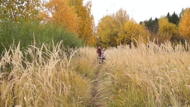 Une femme et un homme marchent avec un chien — Video