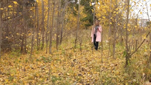 Une promenade de femme avec chien — Video