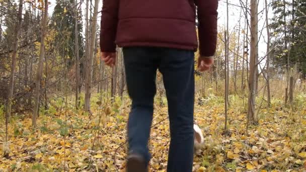 Un hombre pasea con un perro — Vídeos de Stock